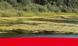 A More Ecological Pre-treatment Method Header